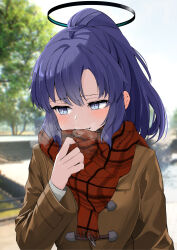Rule 34 | 1girl, absurdres, alternate costume, awnw, blue archive, blush, brown coat, closed mouth, coat, day, halo, highres, long hair, long sleeves, mechanical halo, outdoors, ponytail, purple eyes, purple hair, red scarf, scarf, solo, tree, upper body, yuuka (blue archive)