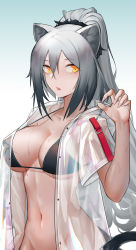 Rule 34 | 1girl, absurdres, animal ears, arknights, bikini, black bikini, blue background, breasts, cat ears, chinese commentary, collarbone, commentary request, gradient background, groin, hair between eyes, halterneck, hand up, highres, jacket, large breasts, long hair, looking at viewer, navel, open clothes, open jacket, out-of-frame censoring, parted lips, piao miao, schwarz (arknights), see-through, short sleeves, silver hair, solo, stomach, strap gap, sweat, swimsuit, upper body, very long hair, white background, yellow eyes