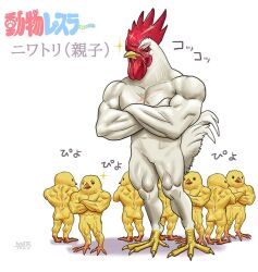 Rule 34 | abs, animal focus, beak, bird, chick, chicken, commentary request, crossed arms, dated, furrowed brow, matataku, muscular, no humans, original, rooster, sparkle, tail, translation request