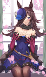 Rule 34 | 1girl, absurdres, animal ears, bare shoulders, black bow, blue dress, blue flower, blue hat, blue rose, blush, bow, brown hair, brown thighhighs, closed mouth, collarbone, commentary request, dagger, dress, feet out of frame, flower, hair over one eye, hands up, hat, hat flower, highres, horse ears, horse girl, horse tail, knife, long hair, long sleeves, looking at viewer, off-shoulder dress, off shoulder, petals, purple eyes, rice shower (umamusume), rose, shiroserika, sitting, sleeves past wrists, smile, solo, tail, thighhighs, tilted headwear, umamusume, weapon, window
