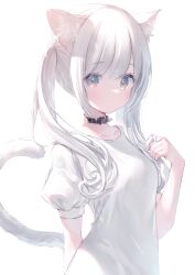 Rule 34 | 1girl, animal ear fluff, animal ears, arms behind back, black collar, bloom, blunt bangs, breasts, cat girl, cat tail, collar, collarbone, commentary request, grey eyes, twirling hair, hand up, highres, lens flare, long hair, looking at viewer, m ydayo, medium breasts, original, playing with own hair, puffy short sleeves, puffy sleeves, shirt, short sleeves, sidelocks, solo, tail, tail raised, twintails, upper body, white background, white hair, white shirt