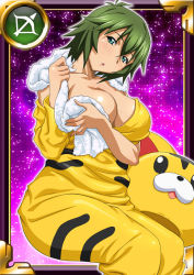 Rule 34 | 00s, 1girl, breasts, card (medium), curvy, female focus, green hair, ikkitousen, kyocho chuukou, large breasts, looking at viewer, no bra, shiny skin, short hair, sitting, smile, solo, towel