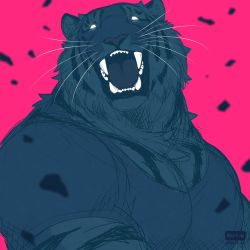 Rule 34 | 1boy, animal ears, artist name, bara, body fur, fangs, furry, furry male, glowing, glowing eyes, highres, large pectorals, limited palette, looking at viewer, male focus, muscular, muscular male, no pupils, open mouth, original, pectorals, pink background, sketch, solo, teru suzu, tiger boy, tiger ears, tiger stripes, upper body, whiskers, white eyes