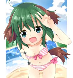 Rule 34 | 1girl, :d, animal ears, arm behind back, bent over, bikini, blue eyes, blue sky, breasts, chinoru, cloud, day, dog ears, dog tail, fang, green hair, highres, kasodani kyouko, open mouth, short hair, sky, small breasts, smile, strap slip, striped bikini, striped clothes, swimsuit, tail, touhou, v