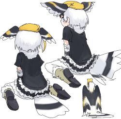 Rule 34 | 1girl, bad id, bad twitter id, bird, black shirt, blue eyes, from behind, great hornbill (kemono friends), hat, head wings, kemono friends, looking at viewer, looking back, multiple views, personification, shirt, short sleeves, simple background, sitting, tail, toxicnyannyan, wariza, white background, white hair, wings, yellow headwear