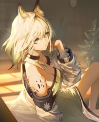 Rule 34 | 1girl, absurdres, animal ear fluff, animal ears, arknights, bare shoulders, black choker, cat ears, choker, commentary, dress, green dress, green eyes, highres, indoors, kal&#039;tsit (arknights), kirsos, looking at viewer, material growth, off shoulder, oripathy lesion (arknights), plant, short hair, solo, white hair
