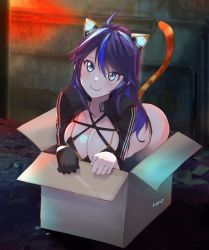 Rule 34 | 1girl, animal ears, ass, black hair, blue eyes, blue hair, box, breasts, cardboard box, cat ears, cat girl, cat tail, cleavage, for adoption, highres, in box, in container, jacket, kivo, kson, large breasts, long hair, mechanical ears, multicolored hair, solo, souchou, tail, tattoo, virtual youtuber, vshojo