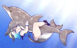 Rule 34 | 10s, 1girl, air bubble, animal, bare shoulders, bestiality, blue eyes, blush, bubble, caustics, cetacean tail, commentary request, common dolphin (kemono friends), day, dolphin, fins, fish tail, full body, gradient hair, grey hair, half-closed eyes, implied bestiality, implied sex, kemono friends, leg lock, multicolored hair, short hair, sleeveless, tail, tanaka kusao, underwater, wristband