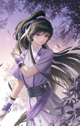 Rule 34 | 1girl, black hair, braid, dress, duanmu rong (qin shi ming yue), hair rings, hair tie, highres, looking at viewer, needle, open mouth, ponytail, purple dress, purple eyes, qinshi mingyue, serious, short sleeves, solo, sushi feng, upper body