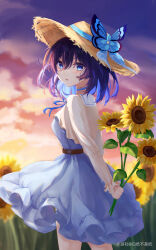 Rule 34 | 1girl, :o, absurdres, blue bow, blue bowtie, blue butterfly, blue dress, blue eyes, blue hair, bob cut, bow, bowtie, bug, butterfly, cloud, cloudy sky, dress, field, flower, flower field, hat, highres, holding, holding flower, honkai (series), honkai impact 3rd, insect, long sleeves, looking at viewer, looking back, open mouth, outdoors, pinafore dress, seele vollerei, shirt, sky, sleeveless, sleeveless dress, solo, sun hat, sunflower, sunflower field, sunset, white paper is not paper, white shirt