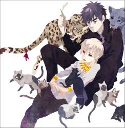Rule 34 | 2boys, animal, bad id, bad pixiv id, biting, blonde hair, blood, bracelet, brown eyes, brown hair, cat, cheetah, fate/zero, fate (series), gilgamesh (fate), jewelry, kotomine kirei, kuroihato, male focus, multiple boys, necklace, official alternate costume, panther, purple eyes, purple hair, red eyes, slit pupils, too many, too many cats, white background