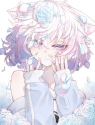 Rule 34 | 1girl, ahoge, animal ear fluff, animal ears, artist request, bare shoulders, blue flower, blue jacket, blue rose, cat ears, cat girl, closed mouth, collarbone, commentary, eyebrows hidden by hair, falling petals, floral background, flower, hair flower, hair ornament, hair over eyes, hands on own face, highres, jacket, looking at viewer, matoi (c10h12n2omatoi), medium hair, nyatasha nyanners, nyatasha nyanners (1st costume), off shoulder, petals, pink hair, purple eyes, rose, solo, upper body, virtual youtuber, vshojo, white background