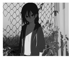 Rule 34 | 1boy, :|, arms at sides, border, chain-link fence, closed mouth, drawstring, expressionless, fence, grass, greyscale, hair between eyes, highres, hood, hood down, hooded jacket, ivy, jacket, karoki 9, long hair, looking at viewer, male focus, monochrome, open clothes, open jacket, original, outdoors, plant, shadow, shirt, sidelocks, sleeves pushed up, solo, white border