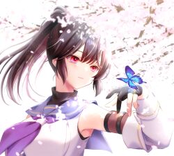 Rule 34 | 1girl, assault lily, black gloves, black hair, black shirt, blue butterfly, blue sailor collar, blurry, blurry background, branch, breasts, bug, butterfly, butterfly on hand, cherry blossoms, closed mouth, commentary request, depth of field, detached sleeves, falling petals, gloves, hair between eyes, half gloves, hand up, high ponytail, highres, insect, large breasts, layered sleeves, lens flare, light particles, light smile, long sleeves, looking at animal, looking to the side, medium hair, mizuha (dreamchild 0504), nagasawa yuki (assault lily), neckerchief, odaiba girls high school uniform, partially fingerless gloves, petals, ponytail, purple neckerchief, red eyes, sailor collar, school uniform, serafuku, shirt, sleeveless, sleeveless shirt, solo, undershirt, upper body, white background, white shirt