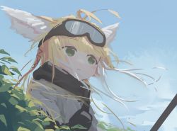 Rule 34 | 1girl, animal ear fluff, animal ears, arknights, black scarf, blonde hair, blush, commentary request, day, expressionless, fox ears, goggles, goggles on head, highres, looking ahead, middletwo, official alternate costume, outdoors, parted lips, scarf, solo, suzuran (arknights), suzuran (lostlands flowering) (arknights), upper body
