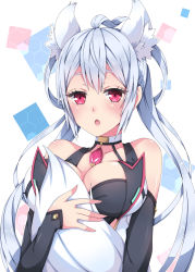 Rule 34 | 1girl, animal ears, bare shoulders, breasts, chestnut mouth, cleavage, collar, detached sleeves, gem, hair rings, holding own tail, large breasts, looking at viewer, matoi (pso2), milkpanda, phantasy star, phantasy star online 2, red eyes, silver hair, solo, tail, twintails