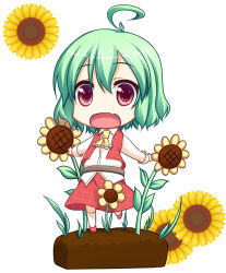 Rule 34 | 1girl, ahoge, ascot, bad id, bad pixiv id, belt, chibi, fang, female focus, flower, green hair, kazami yuuka, open mouth, outstretched arms, pilky, plaid, plaid skirt, plaid vest, red eyes, shirt, short hair, skirt, skirt set, solo, sunflower, touhou, unmoving pattern, vest