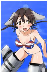 Rule 34 | 1girl, animal ears, bikini, blush, breasts, brown hair, dog ears, gertrud barkhorn, large breasts, lens flare, navel, open mouth, shiny skin, solo, strike witches, striker unit, striped bikini, striped clothes, sweatdrop, swimsuit, tail, twintails, world witches series, yellow eyes, yumekaranigeruna