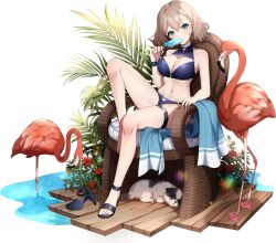 Rule 34 | 1girl, bare arms, bare legs, bare shoulders, bikini, bird, black bikini, black footwear, blue eyes, blush, breasts, claire (eversoul), cleavage, cleavage cutout, clothing cutout, dog, eversoul, flamingo, flower, food, food in mouth, full body, game cg, hair between eyes, high heels, highres, holding, light brown hair, looking at viewer, medium breasts, navel, non-web source, official alternate costume, official alternate hairstyle, official art, on chair, palm leaf, plant, popsicle, popsicle in mouth, red flower, shoes, short hair, single shoe, sitting, solo, stomach, swimsuit, tachi-e, thigh strap, towel, transparent background, water