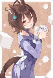 Rule 34 | 1girl, agnes tachyon (umamusume), ahoge, animal ears, black tea, blue shirt, blue skirt, bow, brown hair, commentary request, cup, dated, food in mouth, hair between eyes, holding, holding cup, holding saucer, horse ears, horse girl, horse tail, koruri, long sleeves, looking at viewer, looking to the side, mouth hold, pleated skirt, red eyes, saucer, school uniform, shirt, short hair, skirt, solo, sugar cube, tail, tea, teacup, tracen school uniform, twitter username, umamusume, white bow