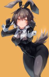 1girl ahoge animal_ears arknights black_gloves black_hairband black_leotard black_necktie black_pantyhose blush brown_hair closed_mouth clothing_cutout fake_animal_ears feet_out_of_frame gloves grey_hair hairband hands_up leaning_forward leotard long_hair looking_away looking_to_the_side multicolored_hair necktie orange_eyes pantyhose paw_pose plume_(arknights) rabbit_ears sasa_onigiri short_hair smile solo standing tail tail_through_clothes thigh_gap thigha thighs two-tone_hair wrist_cuffs