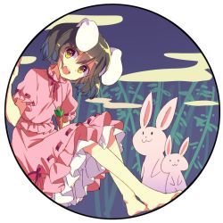 Rule 34 | 1girl, animal ears, bamboo, black hair, bow, busujima (kusahana), carrot, carrot necklace, cloud, dress, inaba tewi, jewelry, md5 mismatch, necklace, night, open mouth, pendant, pink dress, rabbit, rabbit ears, red eyes, resized, short hair, sketch, smile, touhou