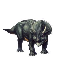 Rule 34 | capcom, dino crisis, dinosaur, horns, reptile, single horn, tail, triceratops