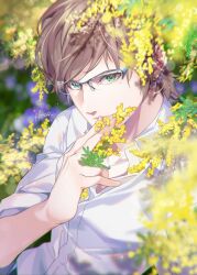 Rule 34 | 1boy, blurry, blurry background, blurry foreground, brown hair, collared shirt, final fantasy, final fantasy xv, flower, glasses, green eyes, hinoe (dd works), holding, holding flower, ignis scientia, jewelry, looking at viewer, male focus, mimosa (flower), necklace, outdoors, shirt, short hair, sleeves rolled up, solo, swept bangs, upper body, white shirt, yellow flower
