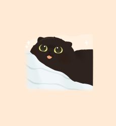 Rule 34 | animal, animal focus, artist name, black cat, blanket, cat, commentary, derivative work, english commentary, green eyes, highres, kapebeansies, light blush, no humans, original, photo-referenced, simple background, solo, sparkle, tongue, tongue out