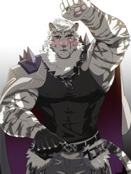 Rule 34 | 1boy, animal ears, arknights, arm up, bara, black tank top, blush, bulge, chain, chain necklace, coat, coat on shoulders, covered abs, covered erect nipples, cowboy shot, furry, furry male, grausummon, hand under clothes, jewelry, male focus, mountain (arknights), muscular, muscular male, necklace, pants, pectorals, scar, scar across eye, scar on face, short hair, solo, tank top, tiger boy, tiger ears, undressing, white fur, white hair, white pants