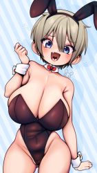 Rule 34 | 1girl, absurdres, animal ears, bare shoulders, blue eyes, blush, bow, breasts, rabbit ears, playboy bunny, detached collar, fake animal ears, highres, huge breasts, leotard, looking at viewer, niucniuc, open mouth, short hair, silver hair, simple background, smile, solo, standing, striped, striped background, uvula, uzaki-chan wa asobitai!, uzaki hana, wrist cuffs