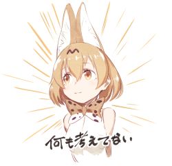 Rule 34 | 1girl, animal ear fluff, animal ears, bare shoulders, bow, bowtie, closed eyes, closed mouth, emphasis lines, ibuki notsu, kemono friends, orange bow, orange bowtie, orange eyes, orange hair, serval (kemono friends), serval print, shirt, short hair, smile, solo, traditional bowtie, upper body, white background, white shirt