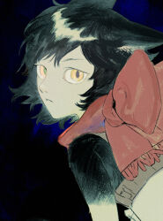 Rule 34 | 1girl, animal ears, black hair, cat ears, cat girl, dungeon meshi, izutsumi, looking at viewer, looking back, red scarf, scarf, simple background, slit pupils, solo, wawa (wawawa0080), yellow eyes