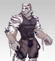 Rule 34 | 1boy, animal ears, animal hands, arknights, bandages, bara, bare shoulders, belt, black belt, bulge, chain, chain necklace, covered abs, covered erect nipples, covered navel, feet out of frame, furry, furry male, grey shorts, highres, jewelry, large pectorals, male focus, mountain (arknights), muscular, muscular male, necklace, pectoral cleavage, pectorals, scar, scar across eye, scar on face, short hair, shorts, sidepec, solo, thick eyebrows, tiger boy, tiger ears, uiokv, white fur, white hair