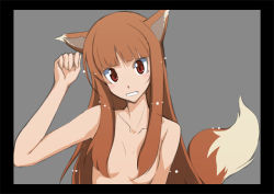 Rule 34 | 00s, 1girl, animal ears, black border, border, breasts, collarbone, female focus, holo, nude, small breasts, solo, spice and wolf, tail, topless frame, upper body, wolf ears, wolf tail