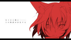 Rule 34 | 1girl, animal ear fluff, animal ears, black border, border, closed mouth, commentary request, cropped shoulders, fox ears, frown, kerberos blade, letterboxed, looking at viewer, monochrome, red theme, scarf, shiroino (shirayuki mutsuki), short hair, simple background, solo, straight-on, toono kuzuha, translation request, white background