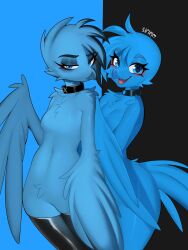 Rule 34 | 2girls, blue eyes, blue feathers, breasts, choker, feathered wings, feathers, furry, highres, multiple girls, siripim111, small breasts, smile, thighhighs, twitter, winged arms, wings