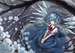 Rule 34 | 1girl, adapted costume, bad id, bad pixiv id, blue eyes, blue hair, blurry, bow, cirno, collared shirt, colored eyelashes, depth of field, female focus, hair bow, ks (xephyrks), matching hair/eyes, nature, plant, shirt, short hair, solo, touhou, wings