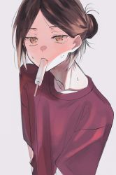 Rule 34 | brown eyes, brown hair, chignon, food, g ig98, highres, original, popsicle, red shirt, shirt, solo, sweat