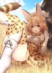 Rule 34 | 10s, 1girl, :3, :d, against tree, animal ears, arm up, blonde hair, blush, boots, bow, bowtie, breasts, convenient leg, cross-laced clothes, day, elbow gloves, gloves, high-waist skirt, highres, kemono friends, looking at viewer, on grass, open mouth, outdoors, print bow, print bowtie, print gloves, print neckwear, print skirt, print thighhighs, serval (kemono friends), serval print, serval tail, shirt, short hair, sitting, skirt, sleeveless, sleeveless shirt, small breasts, smile, solo, striped tail, tail, thighhighs, topia, tree, under tree, white footwear, white shirt, yellow eyes
