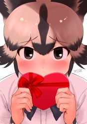 Rule 34 | 1girl, african wild dog (kemono friends), animal ears, black eyes, black hair, blush, commentary request, covered mouth, dog ears, extra ears, furrowed brow, gift, grey hair, hands up, highres, holding, holding gift, kemono friends, long sleeves, looking at viewer, masuyama ryou, multicolored hair, shirt, short hair, sidelocks, solo, tearing up, two-tone hair, upper body, valentine