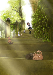 Rule 34 | 1girl, arms behind back, bloom, brown hair, bush, cat, clothes lift, from below, highres, light rays, miharu (cgsky), original, overgrown, railing, school uniform, serafuku, shade, short hair, skirt, skirt lift, smile, solo, stairs, sunbeam, sunlight, too many, too many cats, tree, wind, wind lift