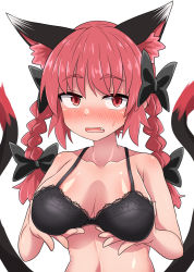Rule 34 | 1girl, animal ears, black bow, black bra, blush, bow, bra, braid, breasts, cat ears, cat tail, chups, highres, kaenbyou rin, looking at viewer, multiple tails, open mouth, red eyes, red hair, solo, tail, touhou, twin braids, underwear, upper body
