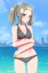 Rule 34 | 1girl, absurdres, bikini, black bikini, breasts, brown hair, cleavage, green eyes, highres, kamidan, looking at viewer, outdoors, shania (xenoblade), solo, swimsuit, twintails, water, xenoblade chronicles (series), xenoblade chronicles 3