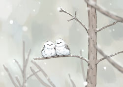 Rule 34 | absurdres, animal focus, betock, bird, blurry, blurry background, blurry foreground, branch, commentary request, fluffy, highres, long-tailed tit, no humans, original, outdoors, snowing, tit (bird), tree
