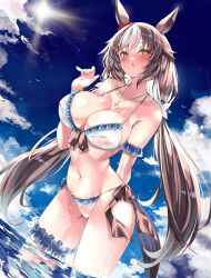 Rule 34 | 1girl, alternate costume, animal ears, armlet, bikini, blue bikini, blue sky, blush, breasts, brown hair, cleavage, cloud, cloudy sky, commentary request, cowboy shot, ear ornament, frilled bikini, frills, hair between eyes, highres, horse ears, horse girl, horse tail, jewelry, large breasts, long hair, looking at viewer, multicolored hair, necklace, ocean, outdoors, parted lips, partially submerged, sdwing, sky, solo, streaked hair, swimsuit, tail, thigh strap, twintails, two-tone bikini, umamusume, very long hair, wet, white bikini, white hair, yamanin zephyr (umamusume), yellow eyes