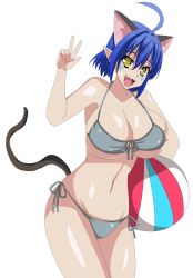 Rule 34 | 10s, 1girl, absurdres, ahoge, alternate costume, animal ears, artist request, bikini, breasts, cat demon girl (shinmai maou no testament burst), cat ears, cat tail, cleavage, cowboy shot, curvy, female focus, from side, front-tie bikini top, front-tie top, grey bikini, hair between eyes, hair intakes, halterneck, happy, highres, holding, large breasts, legs together, o-ring, o-ring bikini, pointy ears, shinmai maou no testament, shiny skin, side-tie bikini bottom, skindentation, smile, solo, source request, standing, string bikini, swimsuit, tail, thighs, transparent background, v