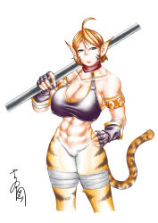 Rule 34 | 1girl, abs, absurdres, ahoge, animal ears, armlet, bikini, bikini top only, bottomless, breasts, breath of fire, breath of fire ii, cat ears, cat tail, cleavage, collarbone, covered erect nipples, facial mark, fingerless gloves, fur, gloves, hand on own hip, highres, huge breasts, migi-yoshi, aged up, orange hair, rinpoo chuan, short hair, solo, staff, swimsuit, tail, weapon, yoshioka shingo