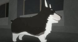 Rule 34 | 1boy, 3d, animal, animal ears, animated, animated gif, building, dog, dog ears, dog tail, fur, happy, lowres, male focus, no humans, official art, open mouth, outdoors, running, rwby, solo, tail, tongue, tongue out, welsh corgi, window, zwei (rwby)