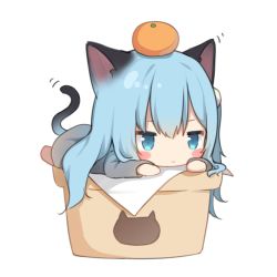 Rule 34 | 1girl, amashiro natsuki, animal ears, barefoot, blue eyes, blue hair, blush stickers, cat ears, cat girl, cat tail, chibi, closed mouth, commentary request, food, food on head, fruit, grey shirt, hair between eyes, highres, long hair, long sleeves, looking away, lying, mandarin orange, nekoha shizuku, object on head, on stomach, original, shirt, simple background, solo, tail, white background